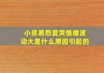 小孩易怒爱哭情绪波动大是什么原因引起的