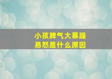 小孩脾气大暴躁易怒是什么原因