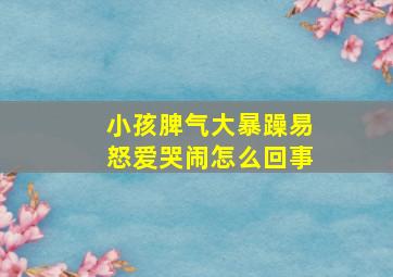 小孩脾气大暴躁易怒爱哭闹怎么回事