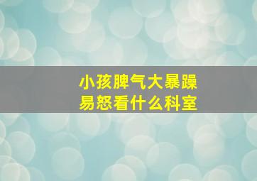 小孩脾气大暴躁易怒看什么科室