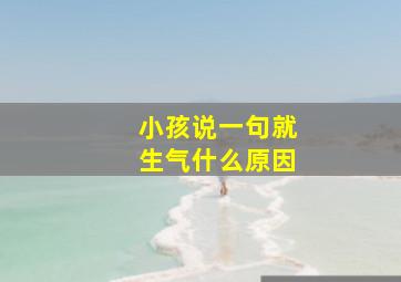 小孩说一句就生气什么原因