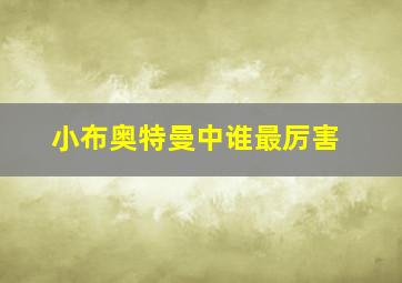 小布奥特曼中谁最厉害