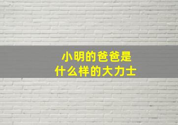 小明的爸爸是什么样的大力士