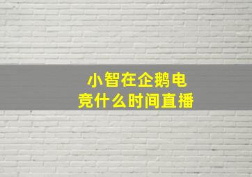 小智在企鹅电竞什么时间直播