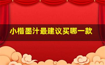 小楷墨汁最建议买哪一款