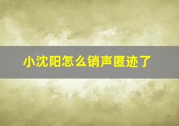 小沈阳怎么销声匿迹了