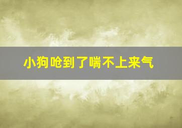 小狗呛到了喘不上来气