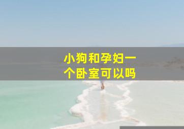 小狗和孕妇一个卧室可以吗