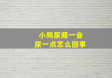 小狗尿频一会尿一点怎么回事