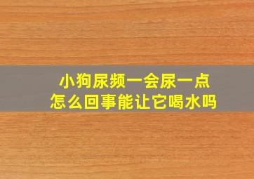 小狗尿频一会尿一点怎么回事能让它喝水吗