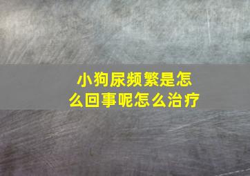 小狗尿频繁是怎么回事呢怎么治疗