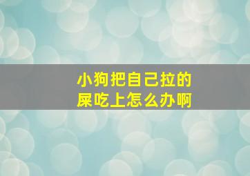 小狗把自己拉的屎吃上怎么办啊