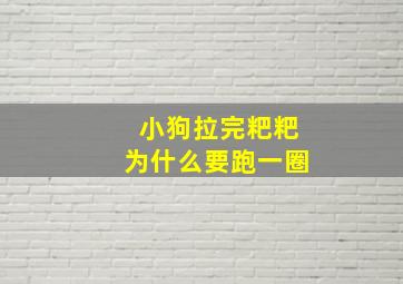 小狗拉完粑粑为什么要跑一圈