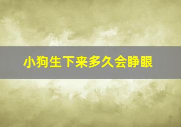 小狗生下来多久会睁眼