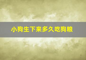 小狗生下来多久吃狗粮