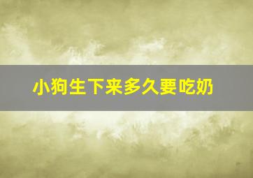 小狗生下来多久要吃奶