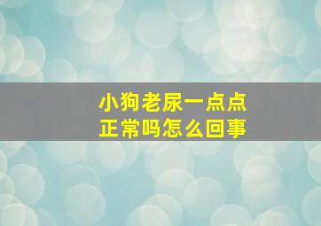 小狗老尿一点点正常吗怎么回事