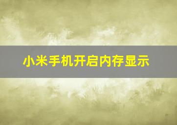 小米手机开启内存显示