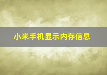 小米手机显示内存信息