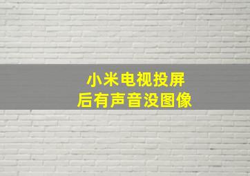 小米电视投屏后有声音没图像