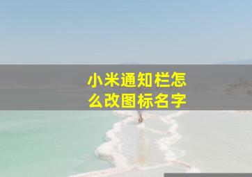 小米通知栏怎么改图标名字