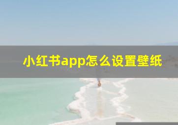 小红书app怎么设置壁纸