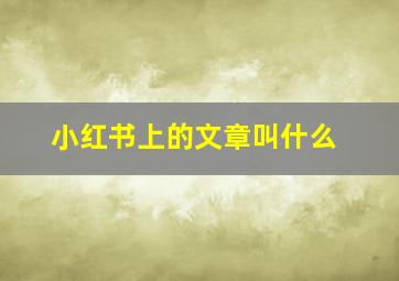 小红书上的文章叫什么