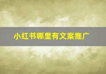 小红书哪里有文案推广