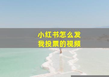 小红书怎么发我投票的视频