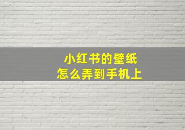 小红书的壁纸怎么弄到手机上