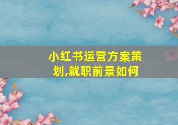 小红书运营方案策划,就职前景如何