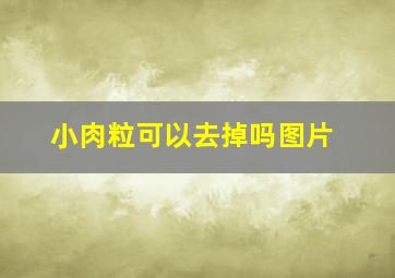 小肉粒可以去掉吗图片