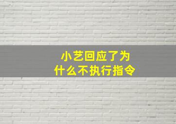 小艺回应了为什么不执行指令