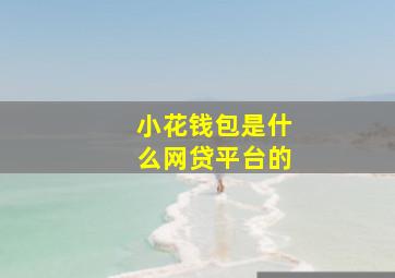 小花钱包是什么网贷平台的