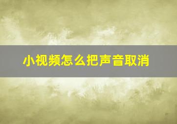 小视频怎么把声音取消