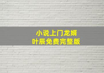 小说上门龙婿叶辰免费完整版