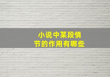 小说中某段情节的作用有哪些