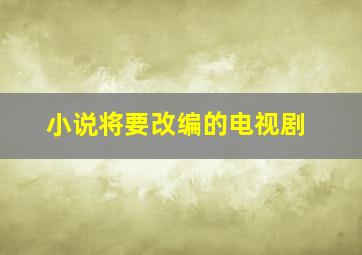 小说将要改编的电视剧