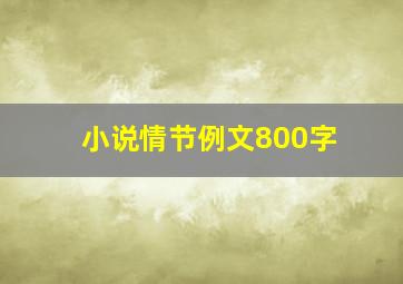 小说情节例文800字