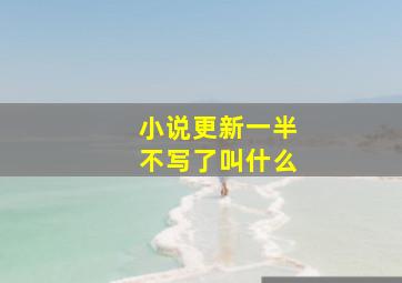 小说更新一半不写了叫什么