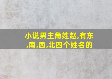 小说男主角姓赵,有东,南,西,北四个姓名的