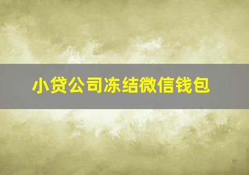 小贷公司冻结微信钱包