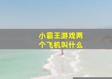 小霸王游戏两个飞机叫什么