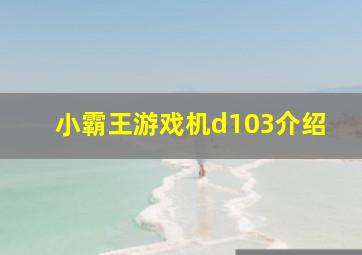 小霸王游戏机d103介绍