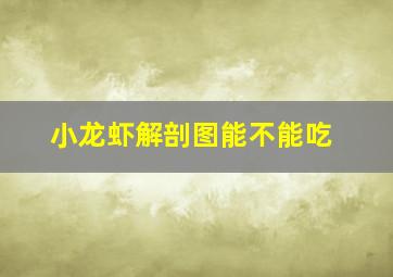 小龙虾解剖图能不能吃