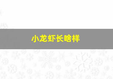 小龙虾长啥样