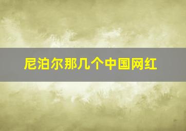 尼泊尔那几个中国网红