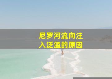 尼罗河流向注入泛滥的原因