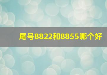 尾号8822和8855哪个好