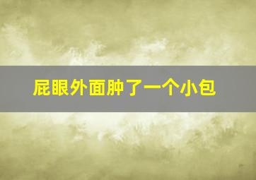 屁眼外面肿了一个小包